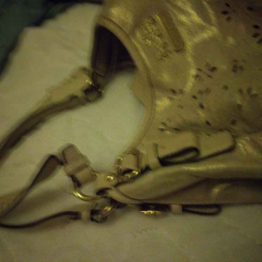 Large Coach hobo